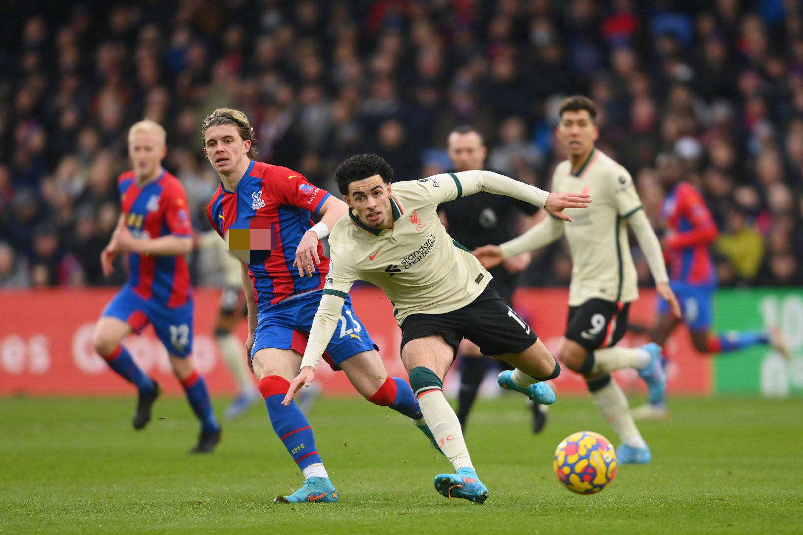 道虽然未披 道虽然未披